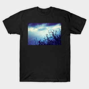 Guardian of the Shadows T-Shirt